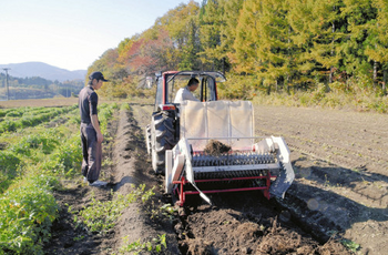2015.01.04.改造した農機でトウキの根を掘り起こす生産者（秋田県羽後町で）.png